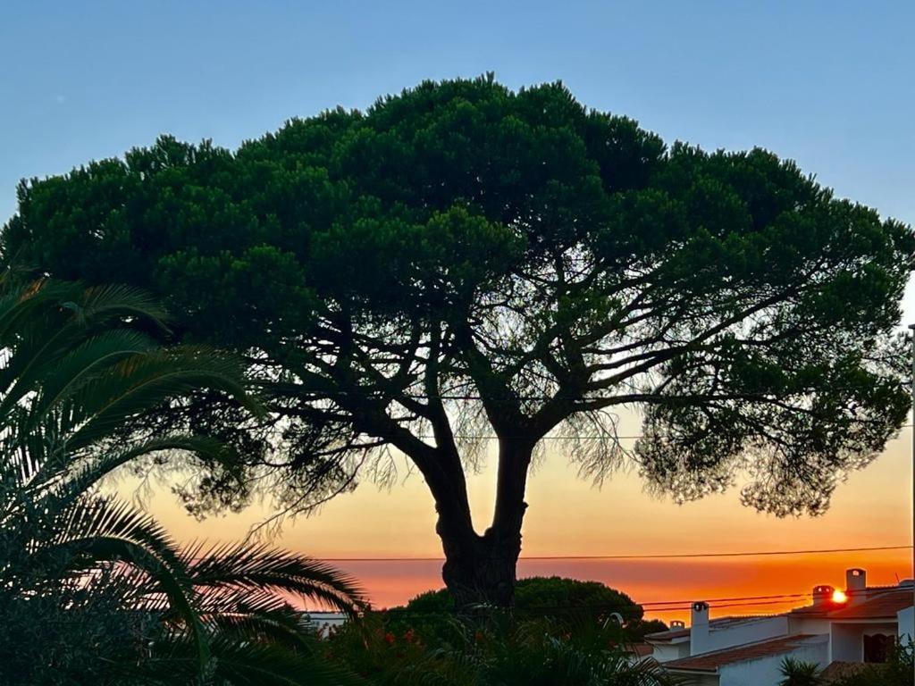 Vila De Sol Sesimbra Ngoại thất bức ảnh