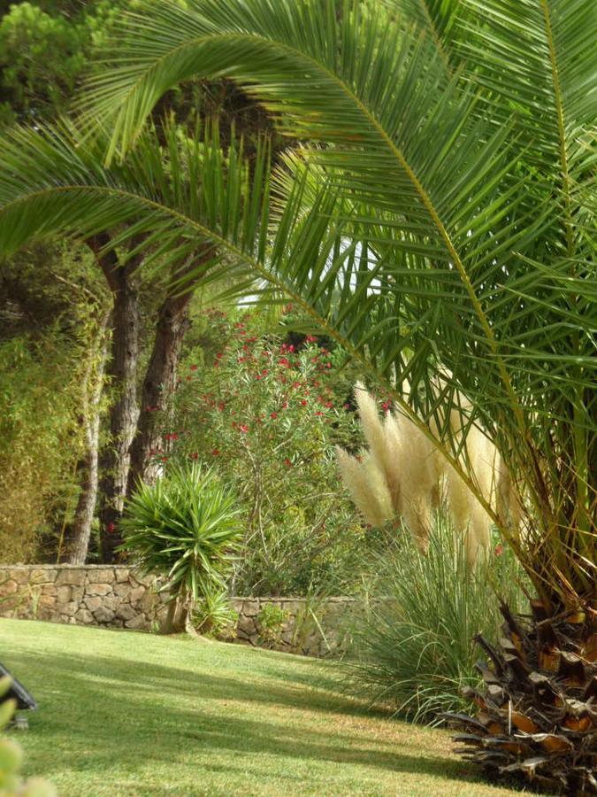 Vila De Sol Sesimbra Ngoại thất bức ảnh